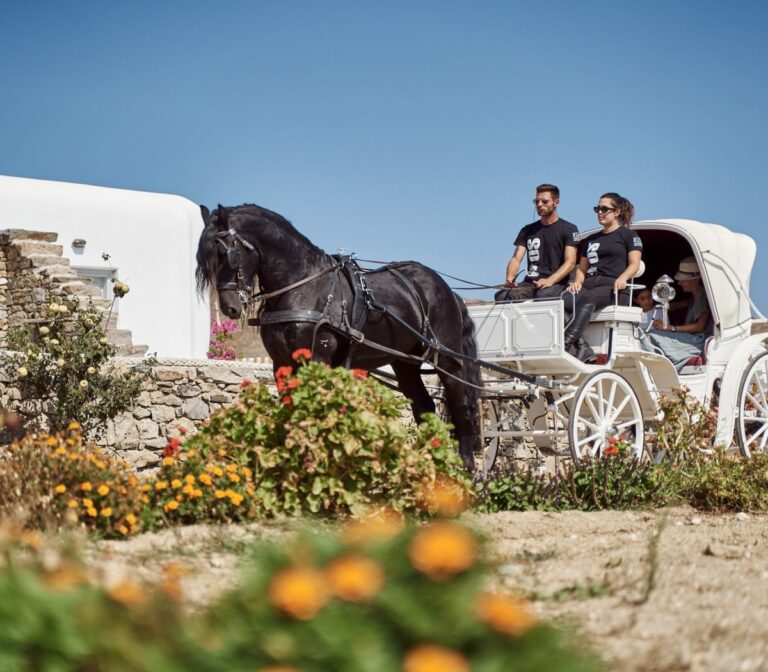 Horse carriage ride