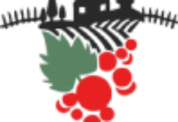 logo (4)