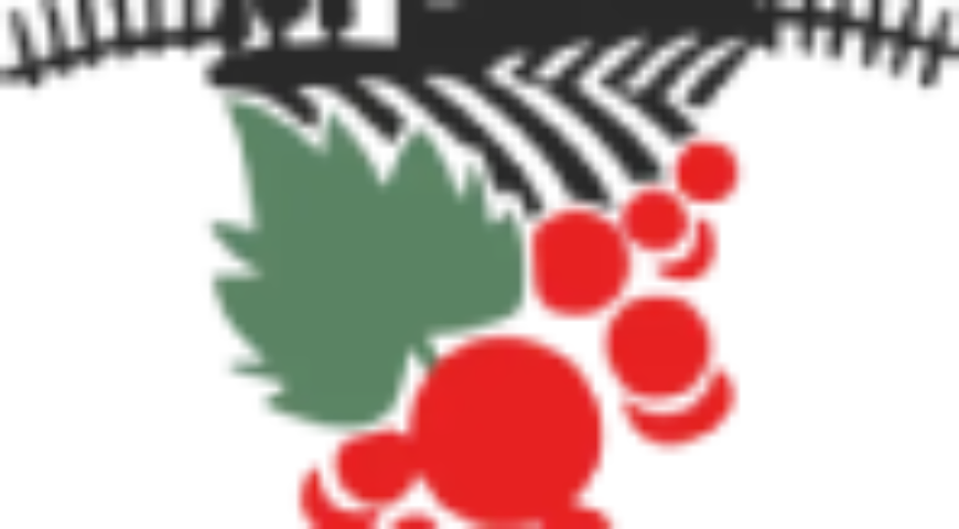 logo (4)